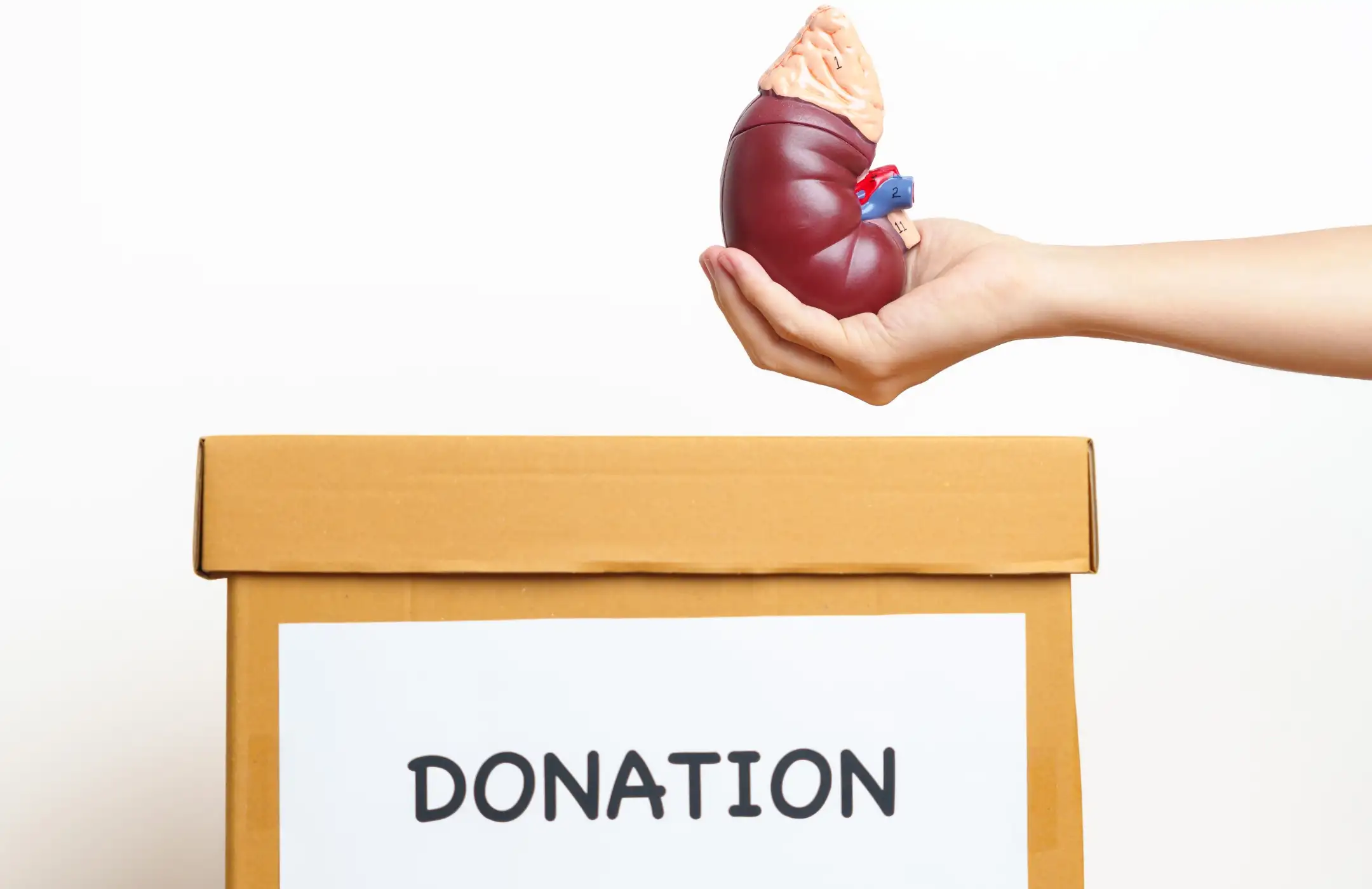 Sustaining Donor Program for Clinic Operations