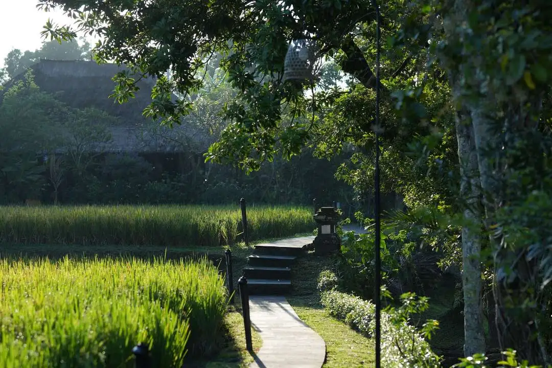 Close to Ubud, Surrounded by Stillness