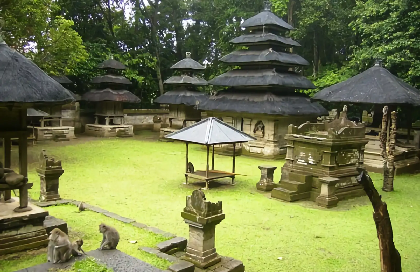 Bali Cycling Tour View 1