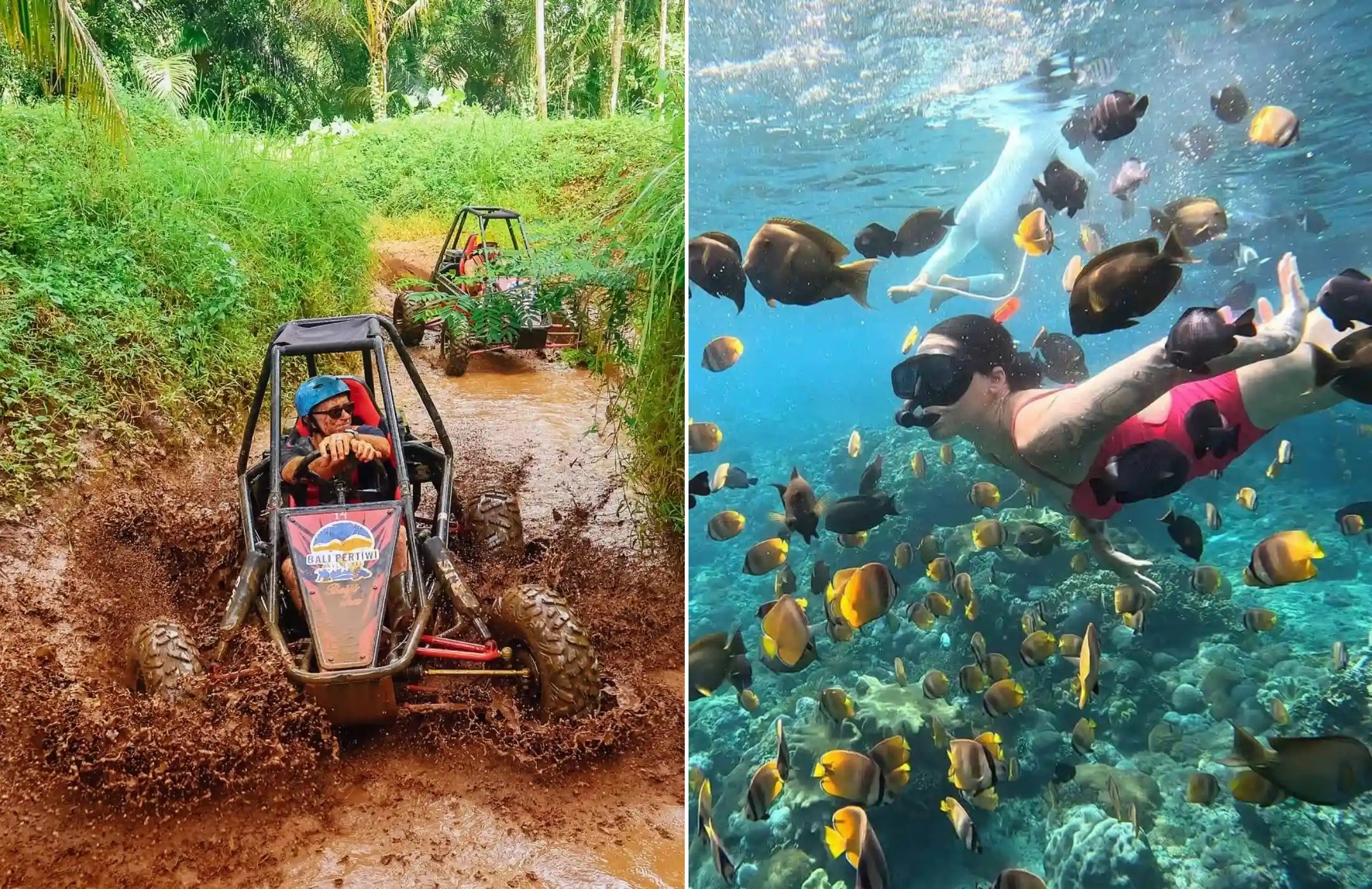 UTV Jungle Buggy + Snorkeling