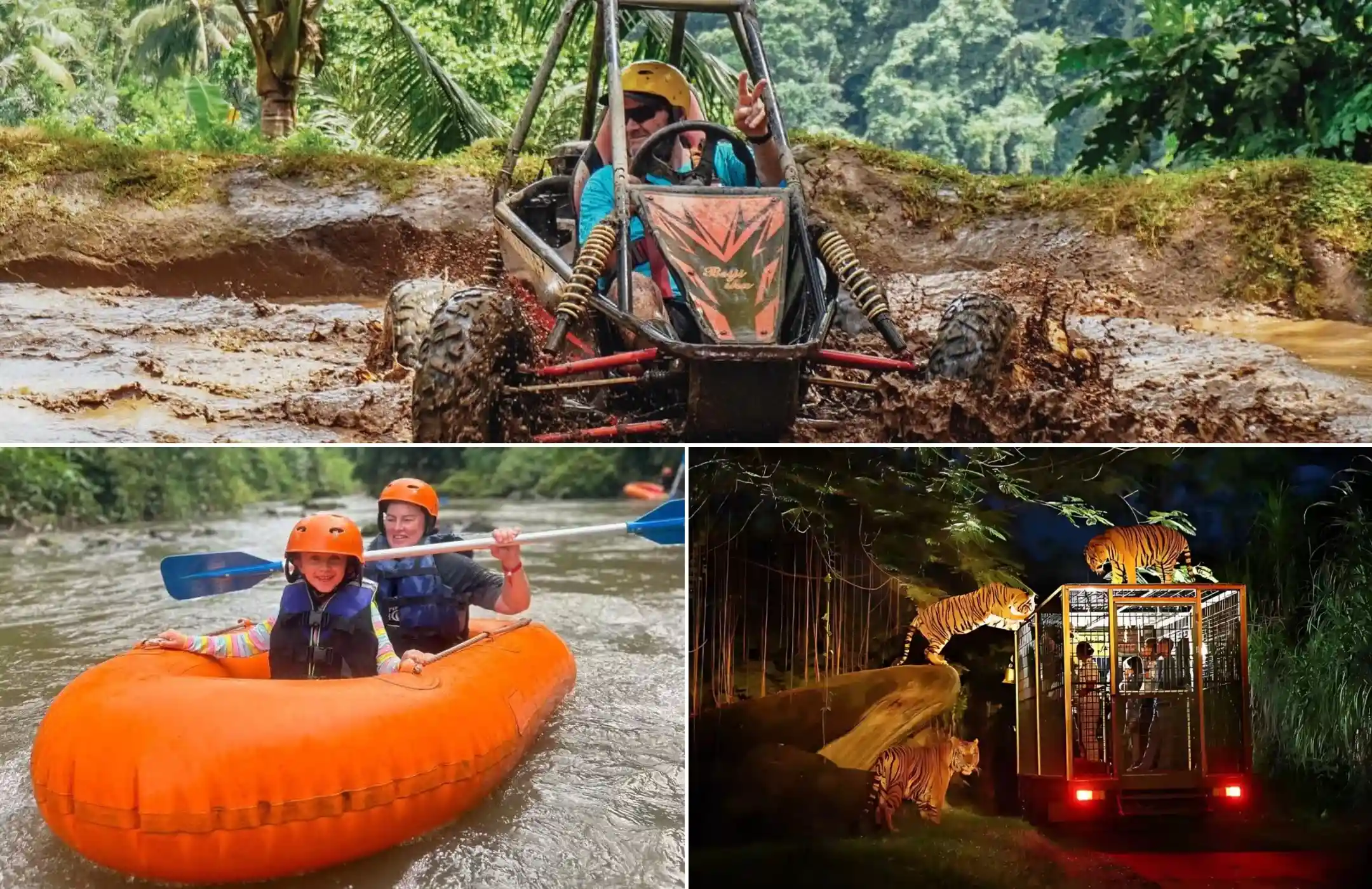 UTV Jungle Buggy + Tubing + Night Safari