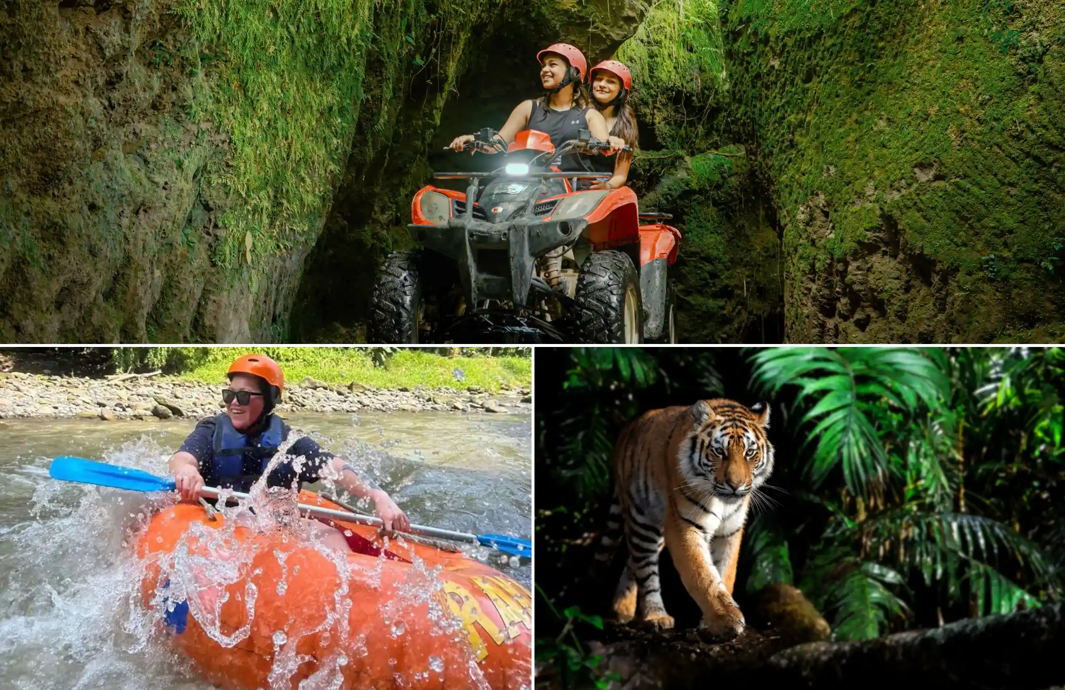 ATV + Tubing + Night Safari