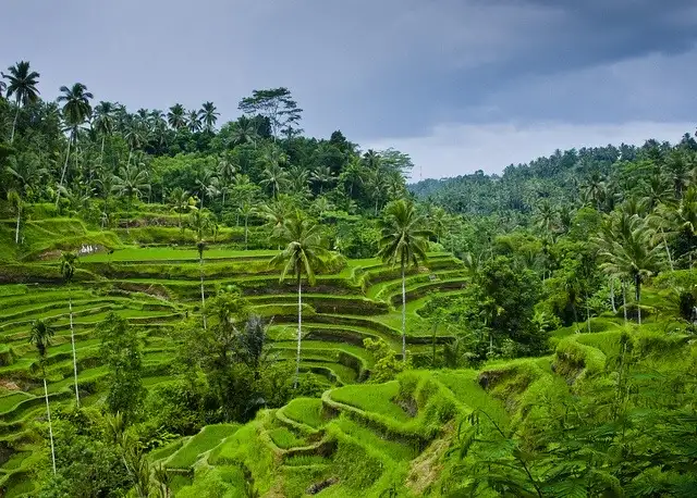 Bali Cycling Tour View 2