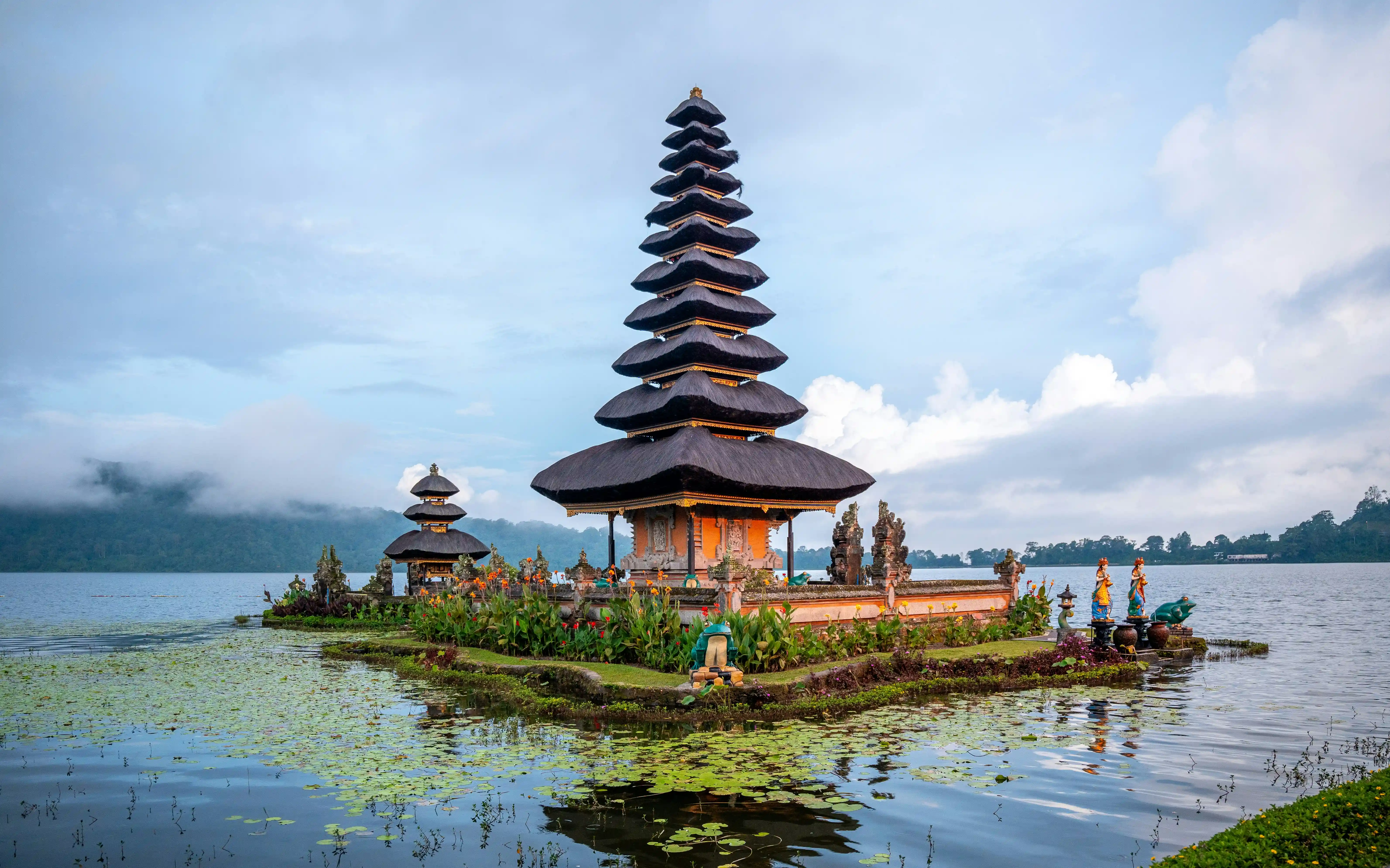 Bali Cycling Tour View 4