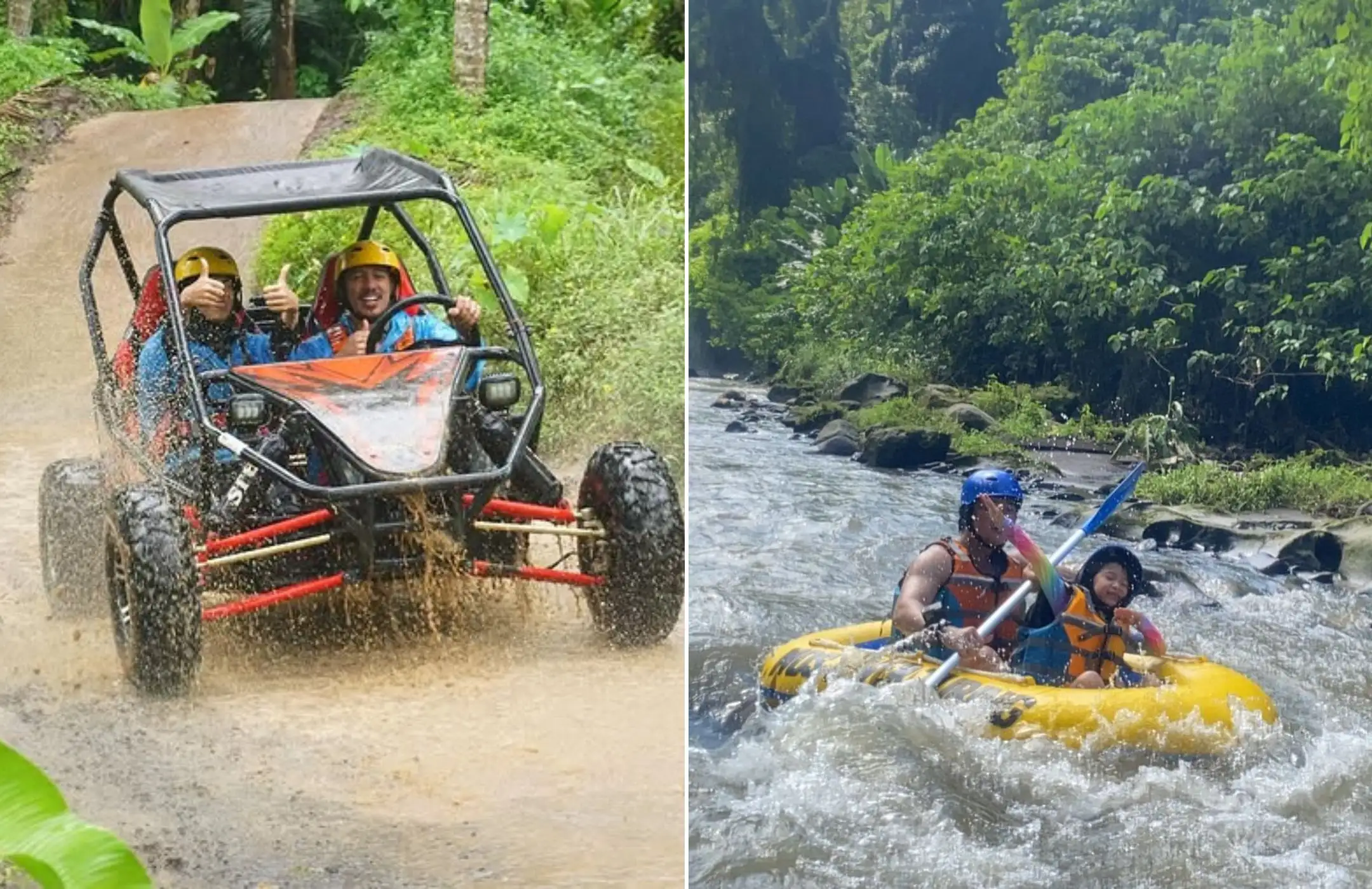 UTV Buggy