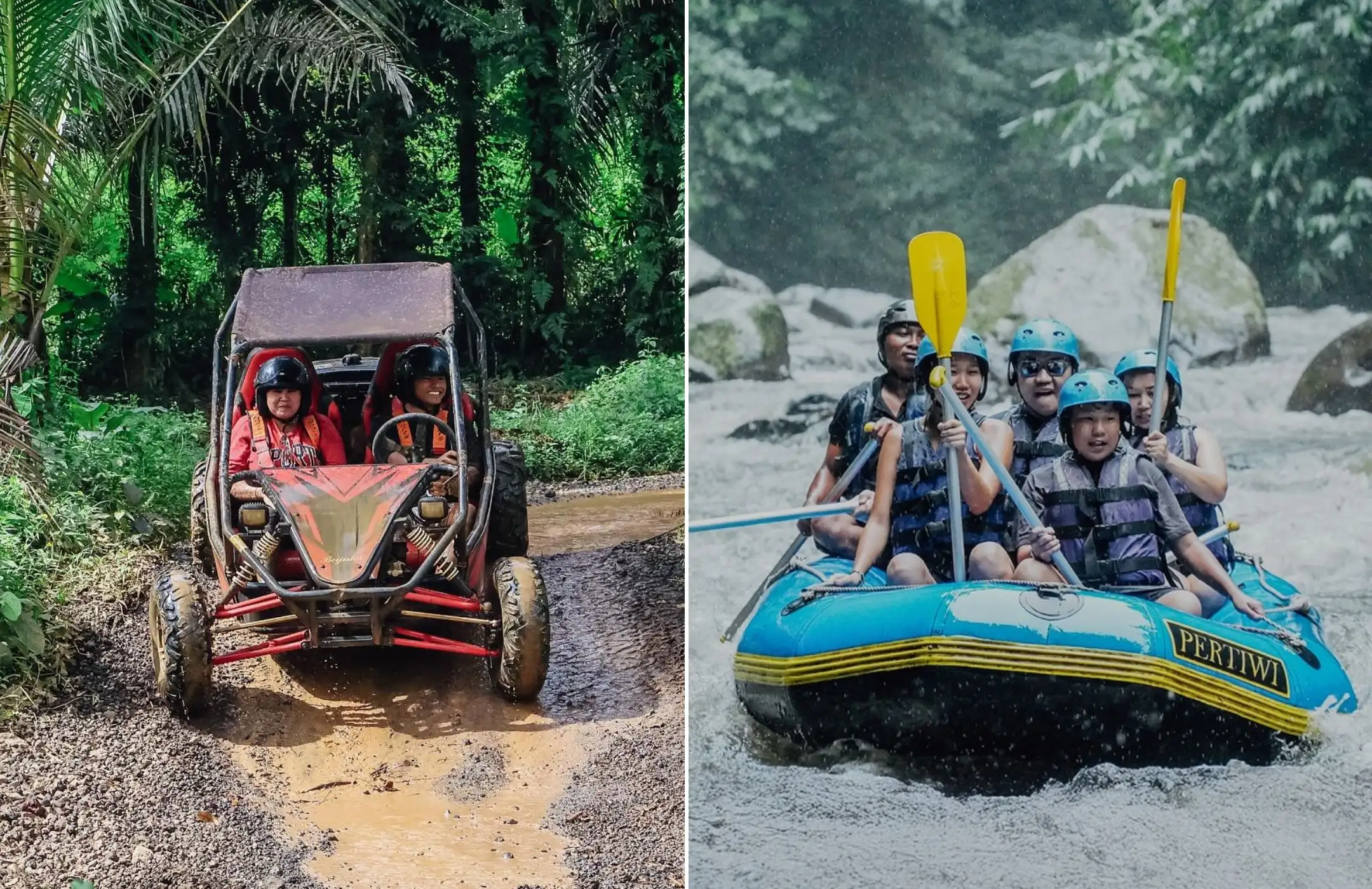 UTV Buggy