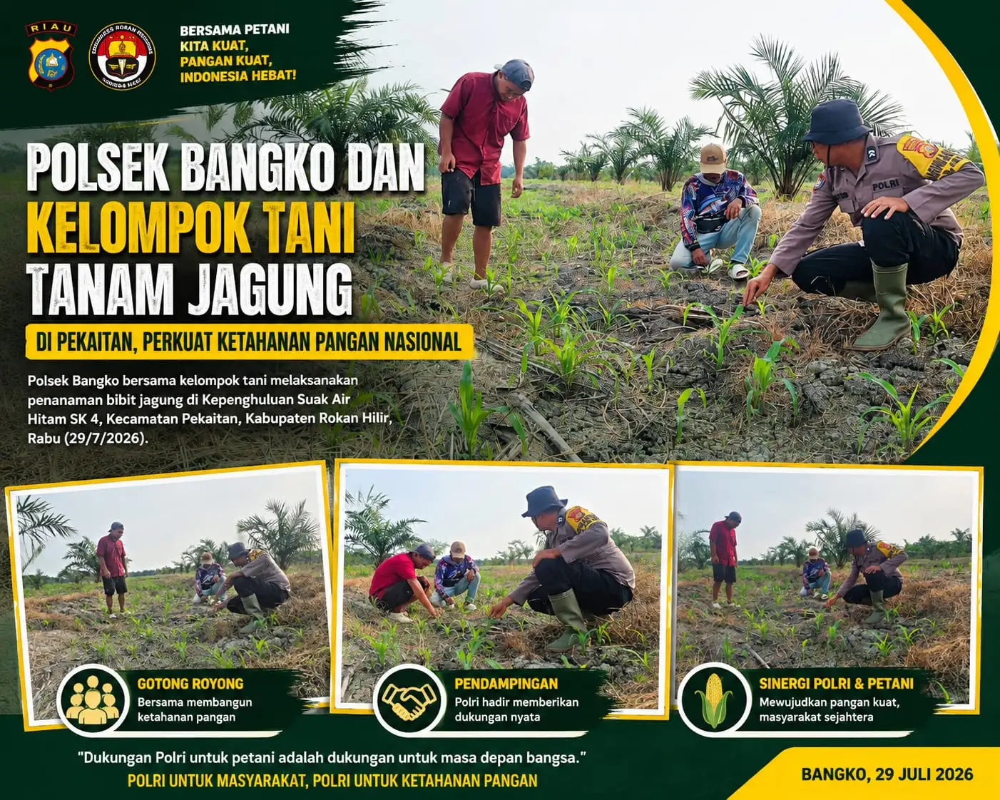 Polsek Bangko dan Kelompok Tani Tanam Jagung di Pekaitan, Perkuat Ketahanan Pangan Nasional