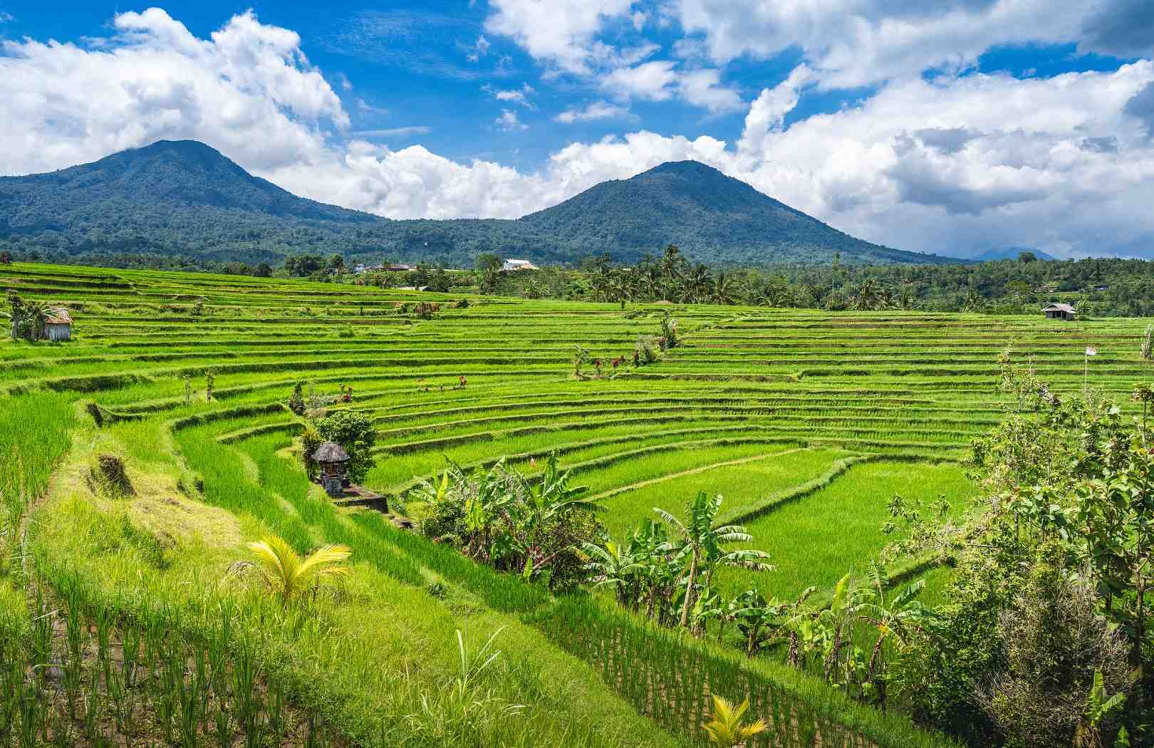 Bali Cycling Tour View 14