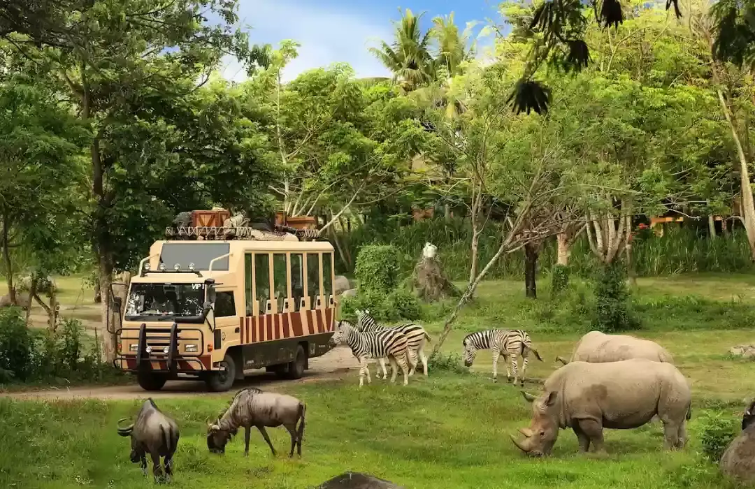 Inside the Building System Project at Bali Safari and Marine Park