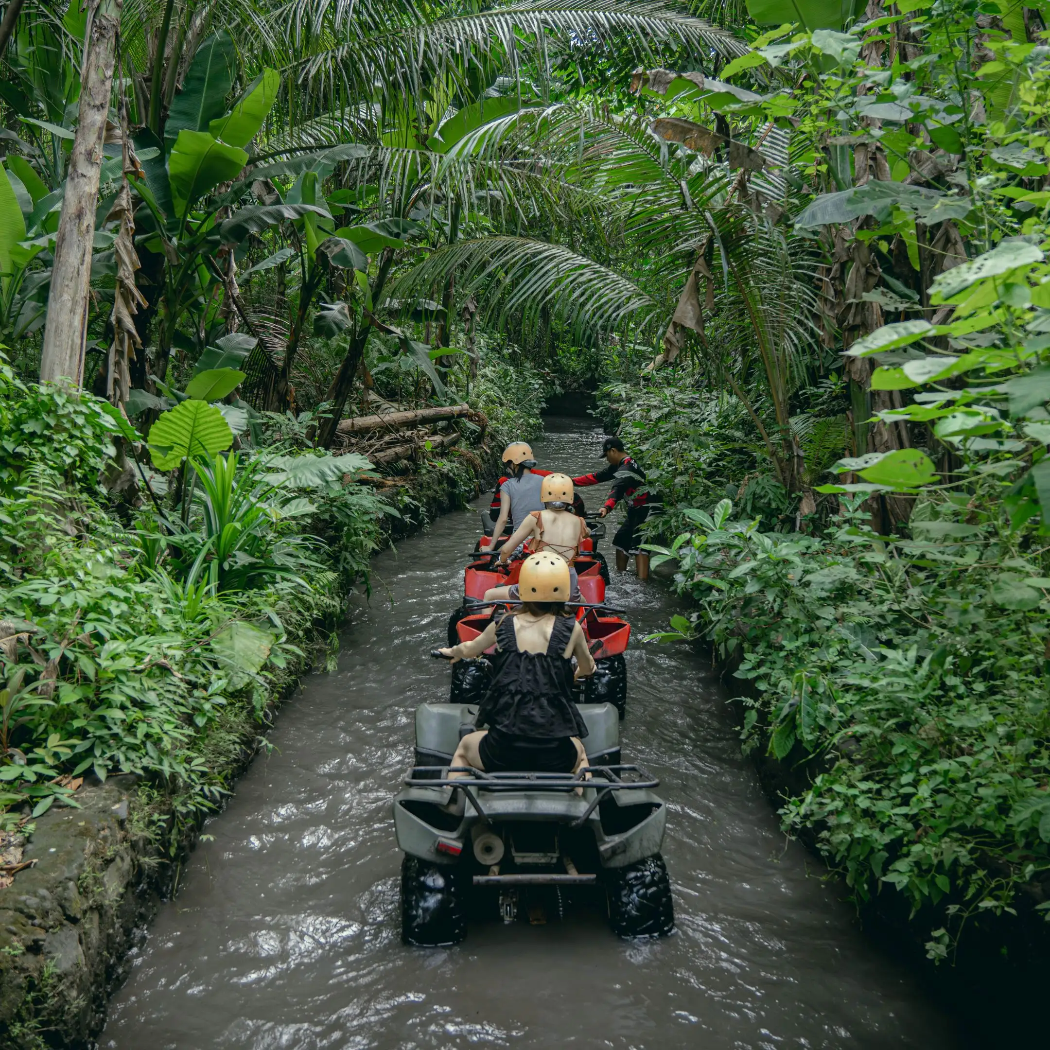 River & Jungle Track