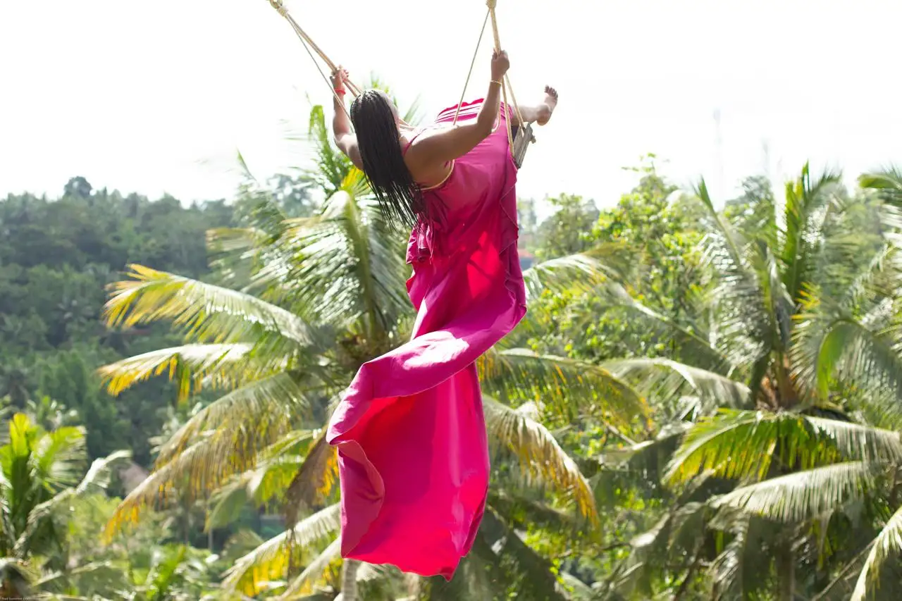 Ubud Highlight Tour
