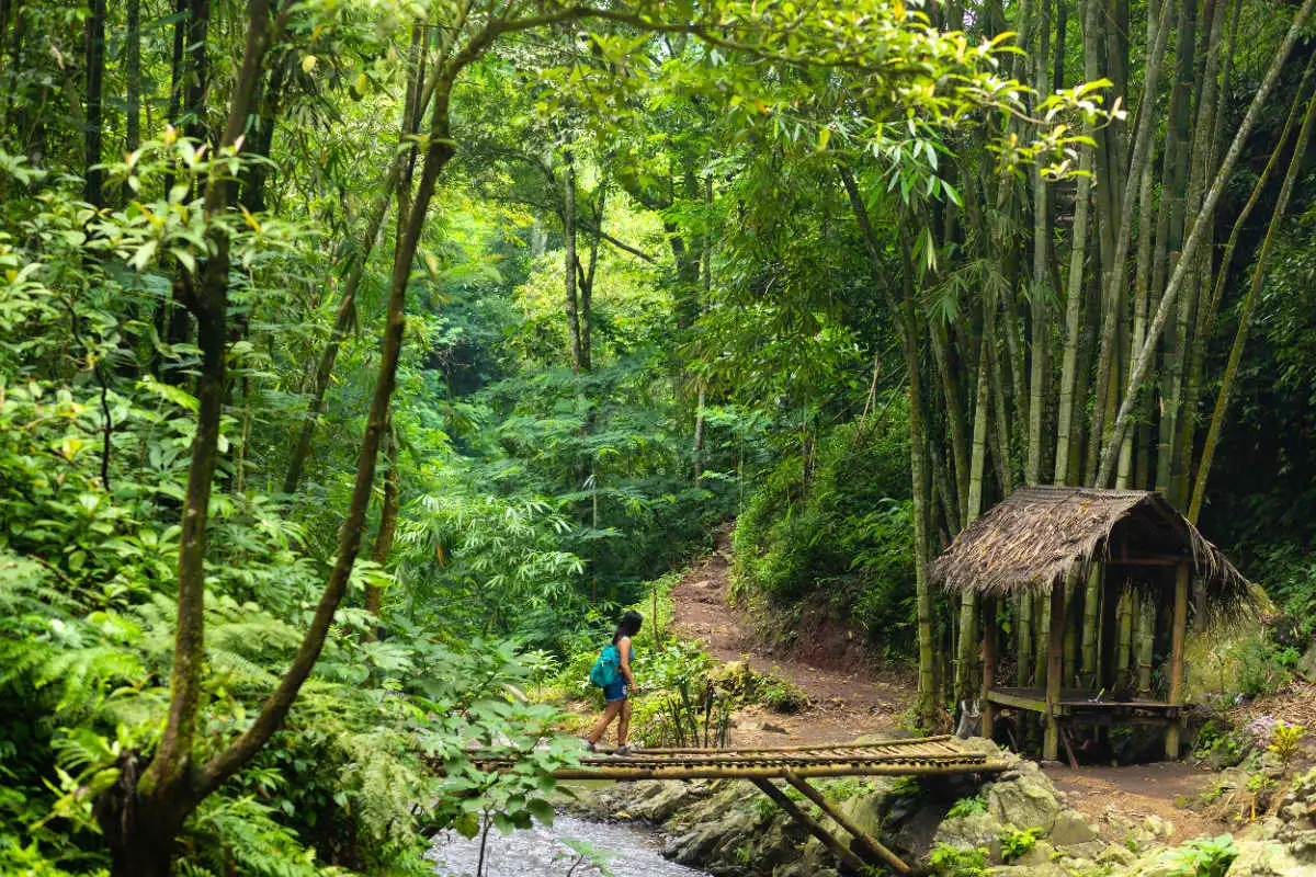 Experience the Authentic Side of Bali