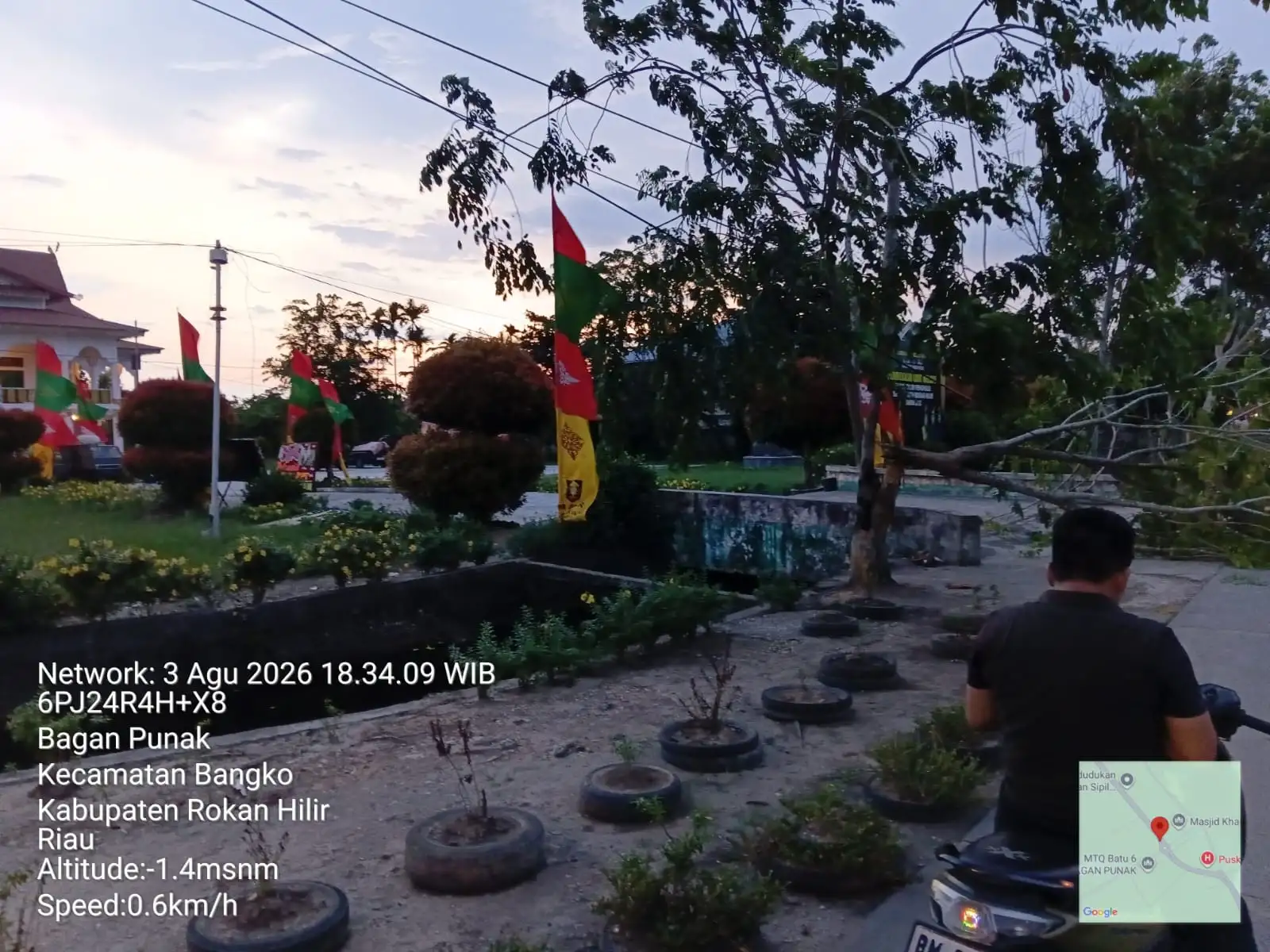 Pohon Tumbang di Bagan Punak Meranti, Pengguna Jalan Diimbau Tingkatkan Kewaspadaan